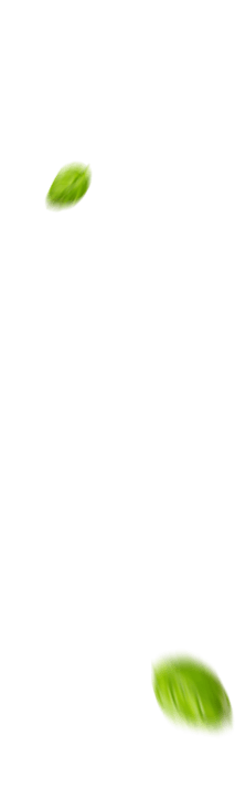 slider-2