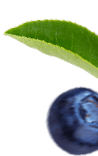 slider-3